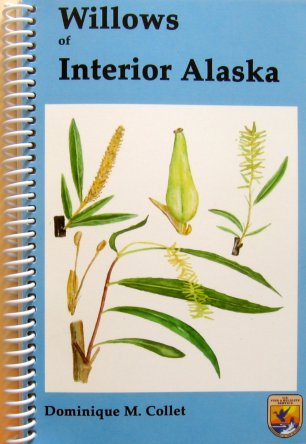 Dominique M. Collet. Willows of Interior Alaska. (c) Dominique M. Collet, 2004