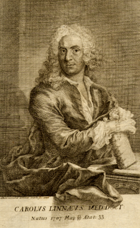 Carl Linnaeus.  Engraving by Augustin Ehrensvärd, 1740. Copyright KVA