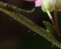 95.25