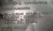 40.6