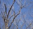 6.62