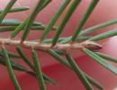 1.35