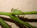 30.23
